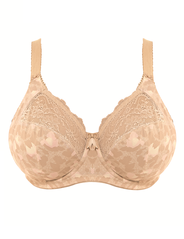 Elomi Morgan Stretch Lace Banded Underwire Bra in White (WHE) - Busted Bra  Shop
